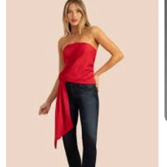 TRINA TURK EUPHORIC BUSTIER - Picture 5 of 15